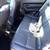 2023 Mazda CX-50 AWD All Wheel Drive 2.5 Turbo Premium Plus Package SUV 9 thumbnail