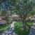 Ceiling Fans, Vinyl Flooring, Generous Closet Space, Plush Carpeting 6 thumbnail