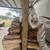 Firewood 1 thumbnail