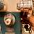 Sewing machine /Morse brothers 5 thumbnail