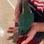 Conure 2 thumbnail
