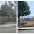 TREE SERVICE & REMOVAL 6 thumbnail