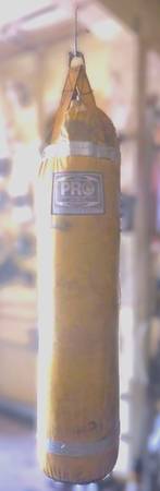 Boxing bag 100 lbs used 1