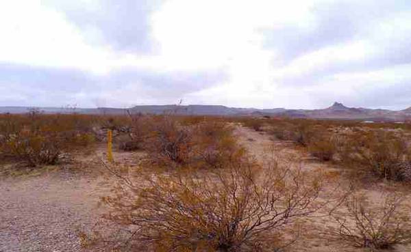$204 /mo.Development Potential in Corner Lot in Federal Land Border 1.93 Ac (Kingman, AZ)64038880196739120