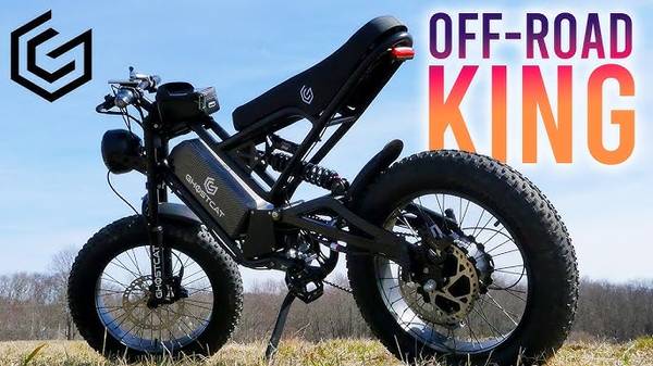 Radical Ghostcat F2.2 Pro 1500W E-bike 1