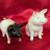 *** Vintage Pair of Otagiri Pigs Salt & Pepper Shakers *** 1 thumbnail