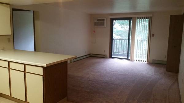 $950 / 1br - Large 1 bedroom with heat secure building Appleton (301 S. Kools St)63838112465411121
