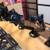 Dual Screen Desk Mount - Full Motion - Upgrade Your Office - LV Pickup 2 thumbnail