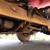 1964 Willys CJ5 11 thumbnail