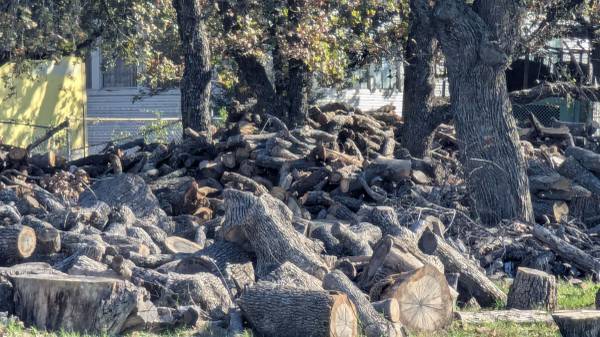 Oak firewood unsplit 1