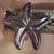 Sterling CNA Starfish Brooch 3 thumbnail