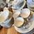 100 Plus Pieces of Mid Century Modern vintage Homer Laughlin Celeste 7 thumbnail