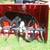 Toro Power Max Snow Blower - 826 LE 3 thumbnail