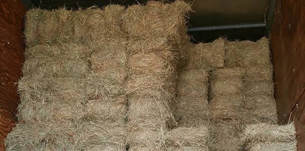 FREE HAY MUST PICK UP TODAY 1