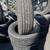 245/60/18 Firestone set of matching used tires in great condition 300$ 6 thumbnail