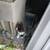 Cat with kittens needs home 4 thumbnail
