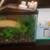 Turtle/Pet equipment 12 thumbnail