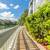 Situated in Jacksonville!, 1bd 1ba, Granite Countertops 4 thumbnail