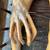RARE ORIGINAL X-FILES TELEVISION SERIES AUTOPSY ALIEN 24 thumbnail