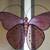 Beautiful Pink Stained Glass Butterfly Hanging 9 thumbnail