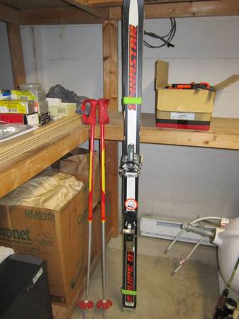 Dynastar Skis 1