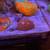 Saltwater corals 4 thumbnail