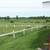 Farm/Home/ Antiques/ Food trailer 10 thumbnail