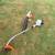 Stihl / toro 3 thumbnail