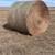 Round bales 1 thumbnail