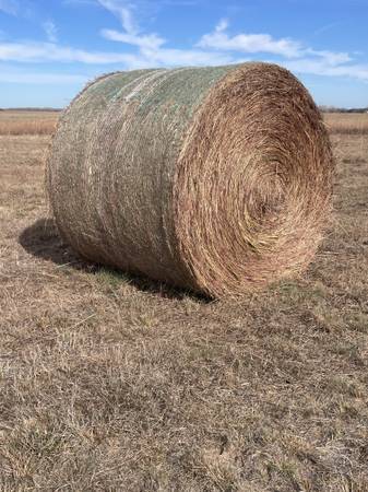 Round bales 1