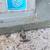 Lortone Lapidary Arbor SA-6 Rock Stone Grinder Sander Polisher 3 thumbnail