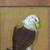 American Bald Eagle Reverse Painting on Glass by Sharon Adkison - 1980 3 thumbnail