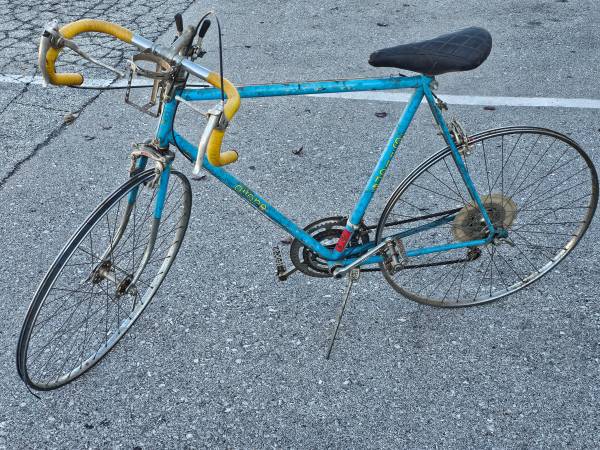 Vintage Gitane 1