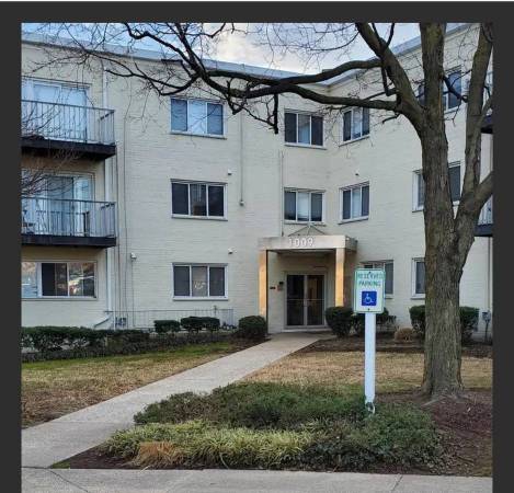 Newly Renovated studio for rent 1