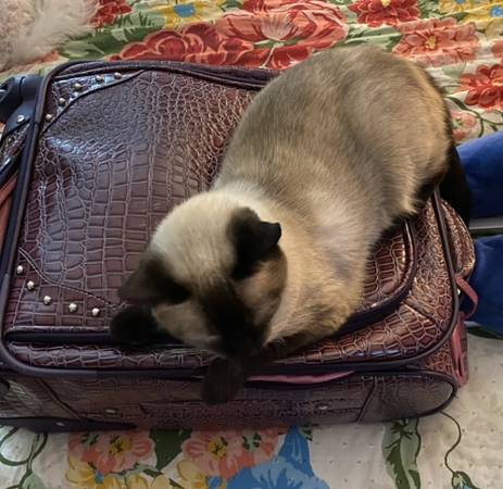 PLEASE HELP US FIND OUR FAMILY MEMBER!!! 1