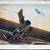 1969 World War 1 Eagles..Series 1, Lot of 3 Color Aviation  Prints 3 thumbnail