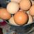 Chicken eggs for sale 2 thumbnail
