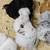 Silkie pullets 5 thumbnail