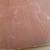 1957 Webster's New World Dictionary of the American Language College 12 thumbnail