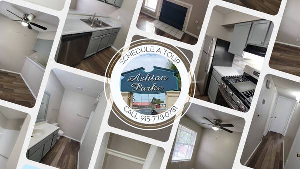 ONE BEDROOM WITH WASHER AND DRYER CONNECTIONS AVAILABLE TODAY! 1