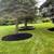 "Arturo" Landscaping 22 thumbnail