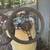 Pontiac Firebird 1970-73 parts 10 thumbnail