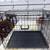 Portable single door wire kennels 3 thumbnail