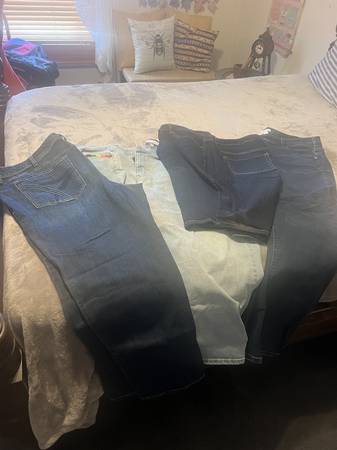Shorts, Capris, and Jeans 1