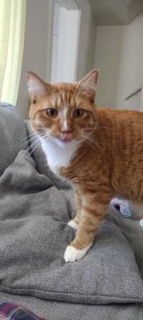 Dragon 2 years old (Camp Murray)63853558110467121