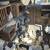 LOFT REDUCTION - Homers, Rollers, Frills, Fantails Pigeons & MORE 15 thumbnail