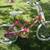 Vintage New 90's Girls's 20 inch Murray  Bicycle, 2 Speed Made in USA 1 thumbnail