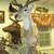 Axis Deer taxidermy 5 thumbnail