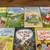 USBORNE MY FIRST READING LIBRARY 10 Hardcover Books ~ LIKE NEW 4 thumbnail