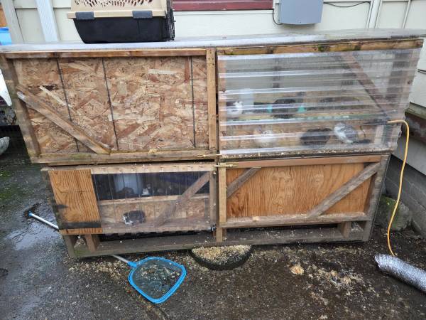 Brooder 1